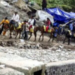 उत्तराखंड में इक्वाइन इन्फ्लूएंजा के चलते केदारनाथ गौरीकुंड और सोनप्रयाग में 1600 से अधिक घोड़े-खच्चरो को किया क्वारंटीन,,,,,,,,
