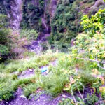 उत्तराखंड कालसी-चकराता मार्ग पर हुआ भीषण सड़क हादसा, तीन लोगों की दर्दनाक मौत, एक गंभीर रुप से घायल,,,,,,