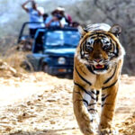 उत्तराखंड पाखरो रेंज घोटाले में किशन चंद की पत्नी और बेटों एवं अन्य के नाम पर खरीदी संपत्तियां हुई कुर्क,,,,