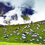 उत्तराखंड  चमोली जिला प्रशासन की 17 सदस्यीय टीम बाड़ाहोती के लिए रवाना, एक हफ्ते यहां टीम करेगी पुरा निरीक्षण,,,,
