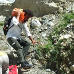 उत्तराखंड बदरीनाथ हाईवे पर हुए भूस्खलन से सड़क का 30 मी. हिस्सा ध्वस्त, 2000 यात्रियों को मार्ग पर रोका,,,,,