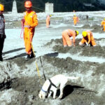 उत्तराखंड धराली आपदा में लापता लोगों में 42 की पुष्टि, 40 होटल, होमस्टे और रिजॉर्ट को हुआ भारी नुकसान,,,,,