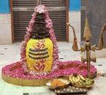 आज का भविष्यफल- क्या कहते हैं आपकी किस्मत के सितारे दिन बृहस्पतिवार दिनांक 23/10/2025