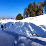 उत्तराखंड में इस बार दिवाली के समय भी वायु गुणवत्ता में आया बेहतरीन सुधार, तकनीक और जनसहयोग से मिली बड़ी सफलता,,,,,,,