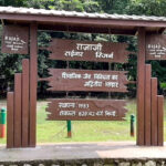 उत्तराखंड पुष्कर सिंह धामी ने राजाजी पार्क भर्ती घोटाला और मनी लॉन्ड्रिंग मामले में दोबारा जांच व अभियोजन की दी मंजूरी,,,