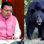 उत्तराखंड में इंसान और भालू संघर्ष की घटनाओं का सीएम धामी ने लिया संज्ञान, नियंत्रण के लिए दिए विभाग को तत्काल कार्रवाई के निर्देश,,,,,,