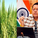 उत्तराखंड में फरवरी से अप्रैल तक धान की खेती पर सरकार ने लगाया प्रतिबंध, प्रदेश के करीब 15 हजार किसान सीधे तौर पर होंगे प्रभावित,,,,
