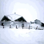 उत्तराखंड में मौसम ने फिर बदला मिजाज, बदरीनाथ, हेमकुंड साहिब सहित ऊंची पहाड़ियों पर बर्फबारी से बढ़ी ठंड, विभाग ने दी चेतावनी,,,,