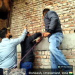 उत्तराखंड में अवैध निर्माण पर एमडीडीए ने सख्त कार्रवाई करते हुए ऋषिकेश में बहुमंजिला भवन को किया सील,,,,,