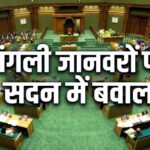 उत्तराखंड गैरसैंण बजट सत्र के दूसरे दिन विपक्ष ने बजट सत्र में वन्यजीव संघर्ष, रोपवे और विकास परियोजनाओं के मुद्दे पर सरकार को घेरा,,,,