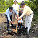 उत्तराखंड हरेला पर MDDA ने की हरित दून अभियान’ की शुरुआत पौधरोपण के साथ संरक्षण पर भी किया जायेगा विशेष फोकस,,,,