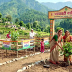 उत्तराखंड ग्राम पंचायतों में 15 अगस्त तक स्थापित होंगी ‘पंचवटी वाटिकाएं’, डॉ. पराग मधुकर धकाते ने जारी किए निर्देश,,,