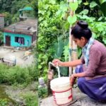 उत्तराखंड नैनीताल दूषित पानी से गांवों में फैला पीलिया और डायरिया का प्रकोप, ज्यूलिकोट में 20 से अधिक छात्रों में संक्रमण की पुष्टि, ग्रामीणों में भारी गुस्सा,,,