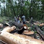 उत्तराखंड ऋषिकेश बाईपास निर्माण, 4,000 पेड़ों के कटान पर वन विभाग ने जताई चिंता, कार्यदायी संस्था को संख्या घटाने के निर्देश,,,